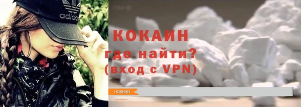 шишки Майский