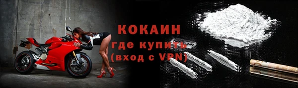 шишки Майский