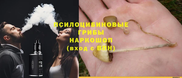 твердый Медвежьегорск