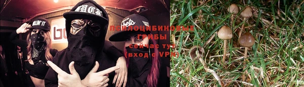 шишки Майский
