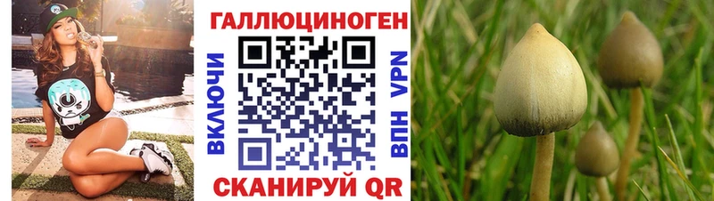 Галлюциногенные грибы MAGIC MUSHROOMS Суджа
